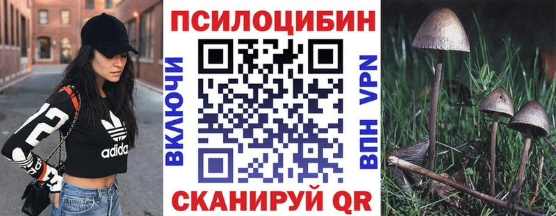 Галлюциногенные грибы Magic Shrooms  это клад  Зерноград  кракен зеркало 